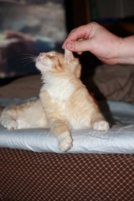 x_5519dab3.jpg